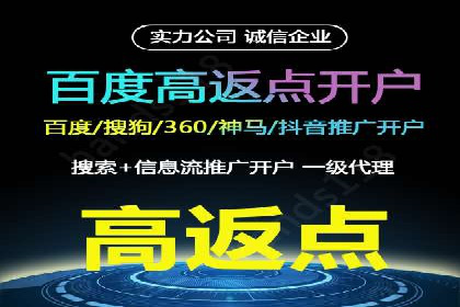 搜索引擎优化（SEO）与竞价广告（SEM）的对比案例